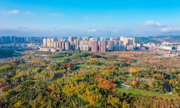 如何制定智能篮球训练计划_1