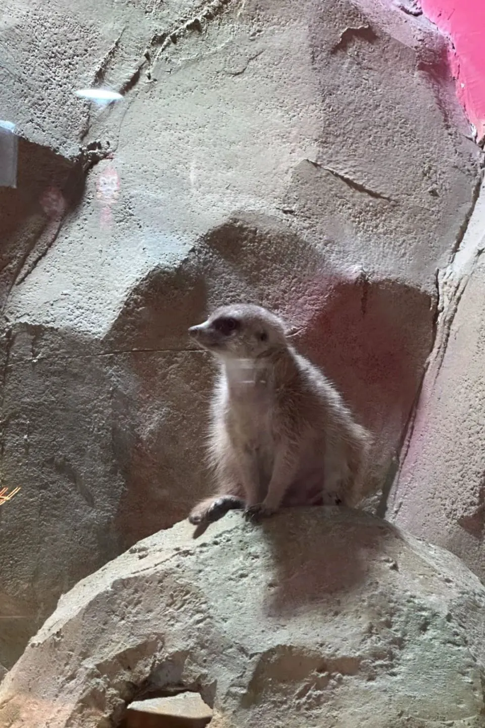 如何在比赛中发现和发展球员潜力_0
